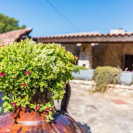 Villa Trullo Del Mare